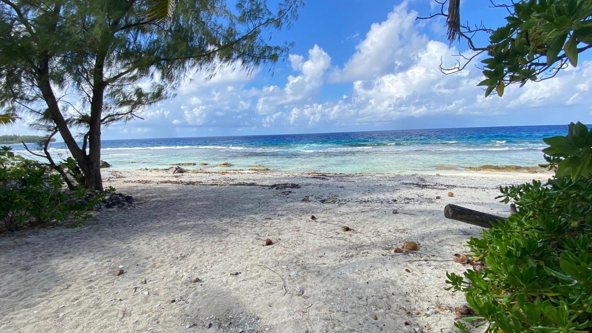 Moorea Chill And Beach Lodge Teavaro Eksteriør bilde