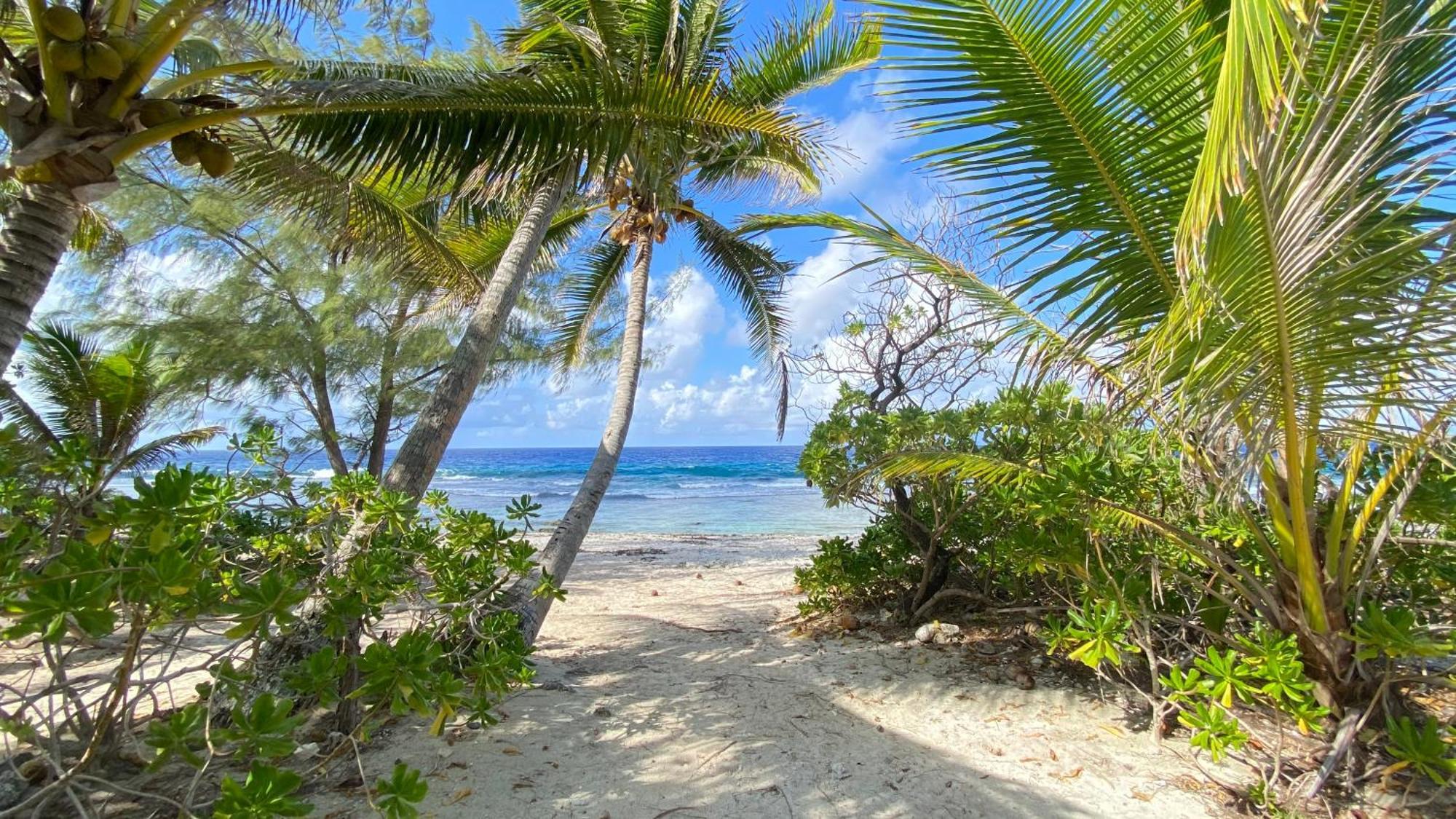 Moorea Chill And Beach Lodge Teavaro Eksteriør bilde
